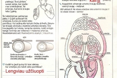 Biologijos-pratybos-7-klasei-15-puslapis