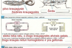 Biologijos-pratybos-7-klasei-16-puslapis