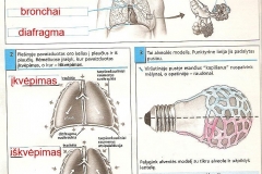 Biologijos-pratybos-7-klasei-19-puslapis