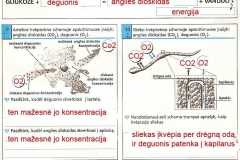 Biologijos-pratybos-7-klasei-21-puslapis