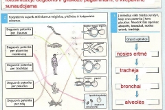 Biologijos-pratybos-7-klasei-23-puslapis