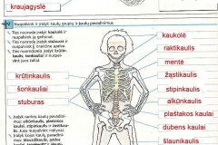 Biologijos-pratybos-7-klasei-24-puslapis