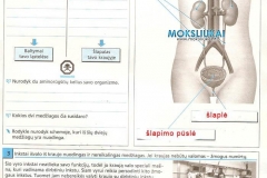 Biologijos-pratybos-7-klasei-29-puslapis