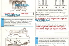 Biologijos-pratybos-7-klasei-31-puslapis