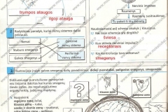 Biologijos-pratybos-7-klasei-34-puslapis