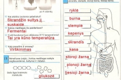 Biologijos-pratybos-7-klasei-6-puslapis