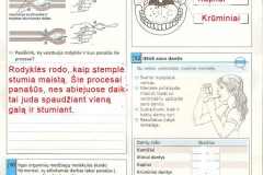 Biologijos-pratybos-7-klasei-7-puslapis