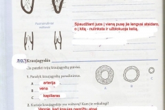 Biologija-9-klasei-30-puslapis