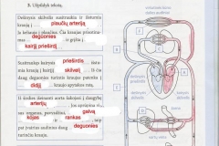 Biologija-9-klasei-31-puslapis