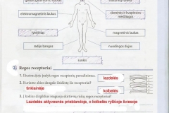 Biologija-9-klasei-41-puslapis