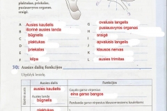 Biologija-9-klasei-45-puslapis