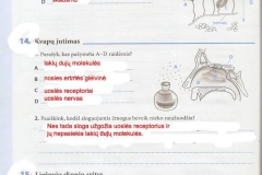 Biologija-9-klasei-48-puslapis
