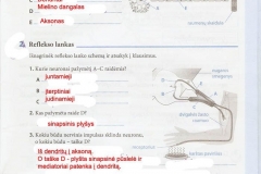Biologija-9-klasei-49-puslapis