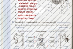 Biologija-9-klasei-52-puslapis