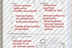 Biologija-9-klasei-59-puslapis