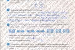 Fizika-9-klasei-1-dalis-11-puslapis1