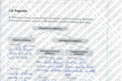Fizika-8-klasei-1-dalis-17-puslapis