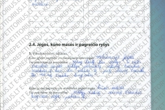 Fizika-8-klasei-1-dalis-30-puslapis