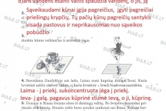 Fizika-8-klasei-2-dalis-33-puslapis