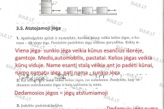 Fizika-8-klasei-2-dalis-43-puslapis