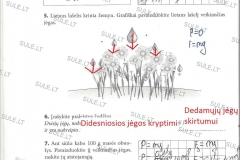 Fizika-8-klasei-2-dalis-44-puslapis