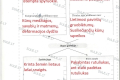 Fizika-8-klasei-2-dalis-46-puslapis