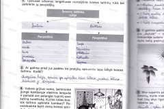 Fizika-7-klasei-44-puslapis1