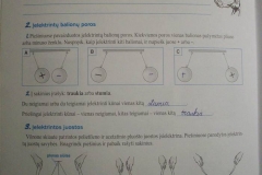 Geografija-6-klasei-2-dalis-32-puslapis
