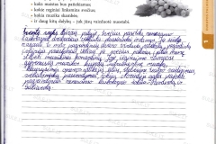 Europos-palikimas-1-dalis-41-puslapis
