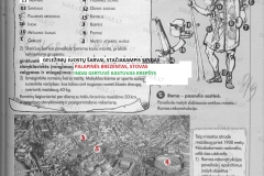 Istorija-6-klase-1-dalis-25-puslapis