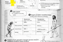 Istorija-6-klase-1-dalis-5-puslapis
