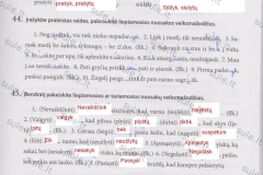 Lietuviu-kalba-6-klasei-2-dalis-17-puslapis