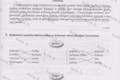 Lietuviu-kalba-6-klasei-2-dalis-3-puslapis