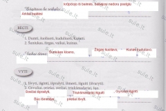 Lietuviu-kalba-6-klasei-2-dalis-4-puslapis