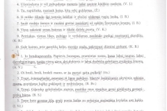 Lietuviu-kalba-9-klasei-1-dalis-17-puslapis
