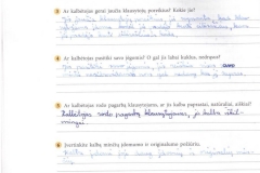 Lietuviu-kalba-9-klasei-1-dalis-26-puslapis