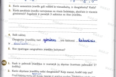 Lietuviu-kalba-7-klasei-1-dalis-47-puslapis