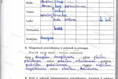 Lietuviu-kalba-7-klasei-2-dalis-28-puslapis