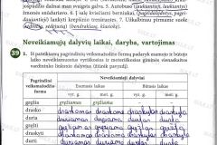 Lietuviu-kalba-7-klasei-2-dalis-43-puslapis