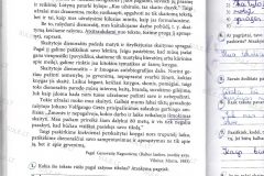 Lietuviu-kalba-7-klasei-2-dalis-62-puslapis