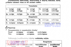 Lietuviu-kalba-7-klasei-45-puslapis