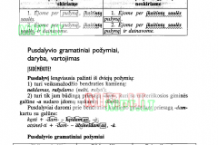 Lietuviu-kalba-7-klasei-49-puslapis