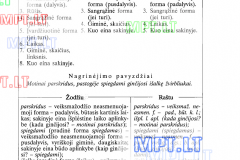 Lietuviu-kalba-7-klasei-53-puslapis
