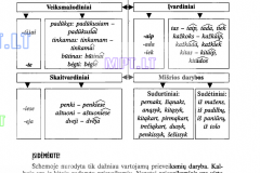 Lietuviu-kalba-7-klasei-55-puslapis