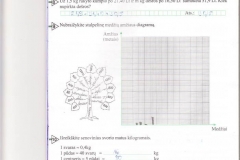 Matematika-6-klasei-1-dalis-5-puslapis