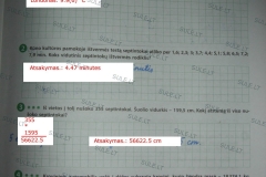 Matematika-SOK-7-klasei-1-dalis-11-puslapis