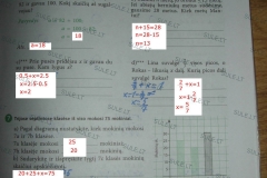 Matematika-SOK-7-klasei-1-dalis-17-puslapis