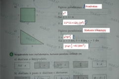 Matematika-SOK-7-klasei-1-dalis-21-puslapis