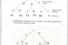 Matematika-tau-5-klasei-2-dalis-49-puslapis