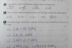 Nemetalu-Chemija-10-klasei-31-puslapis